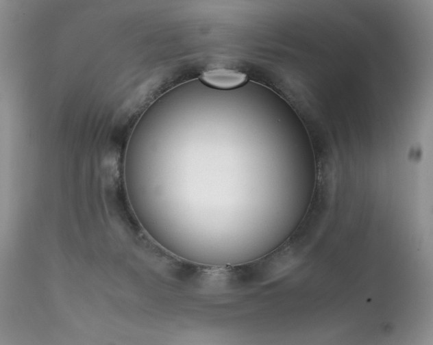 X0000111780127200907301131