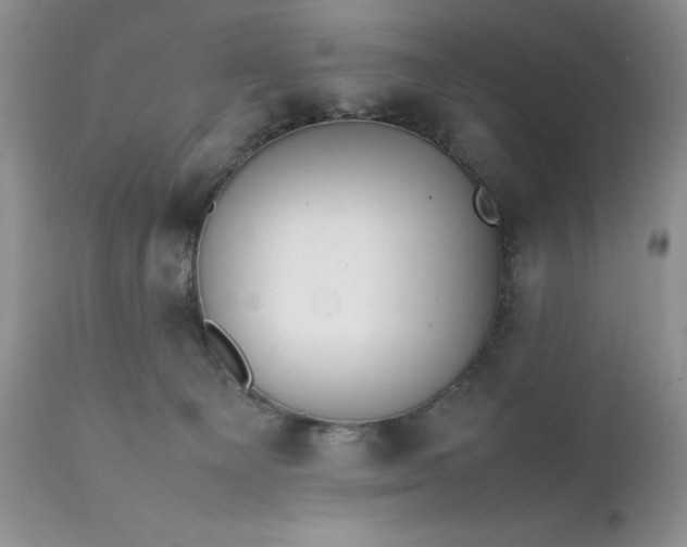 X0000111780129200907301131