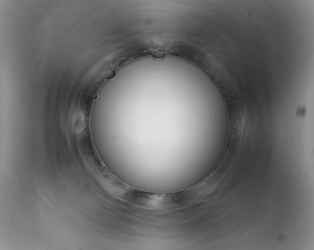 X0000111780130200907301131