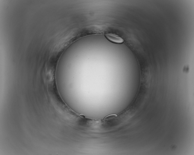 X0000111780131200907301131