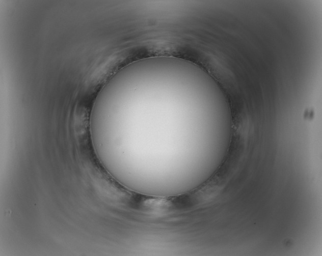 X0000111780133200907301131