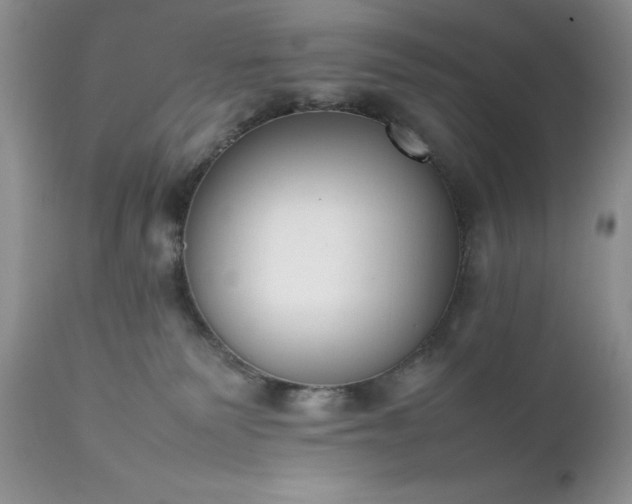 X0000111780135200907301131