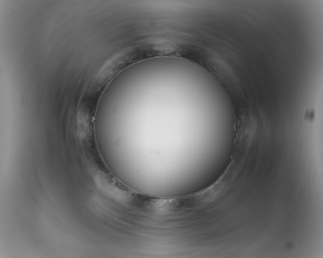 X0000111780136200907301131