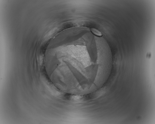 X0000111780139200907301131
