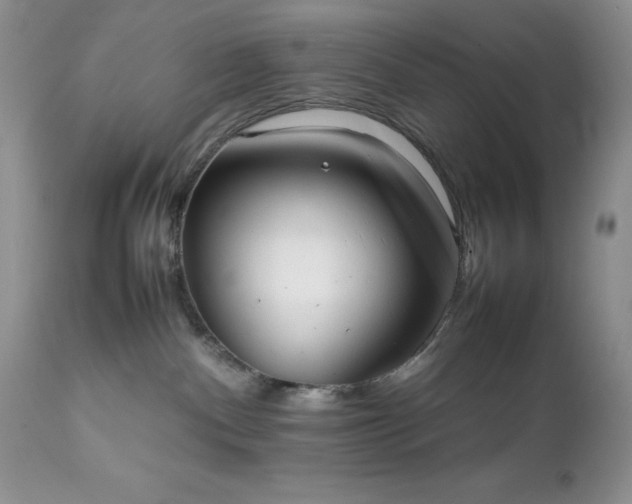 X0000111780140200907301131