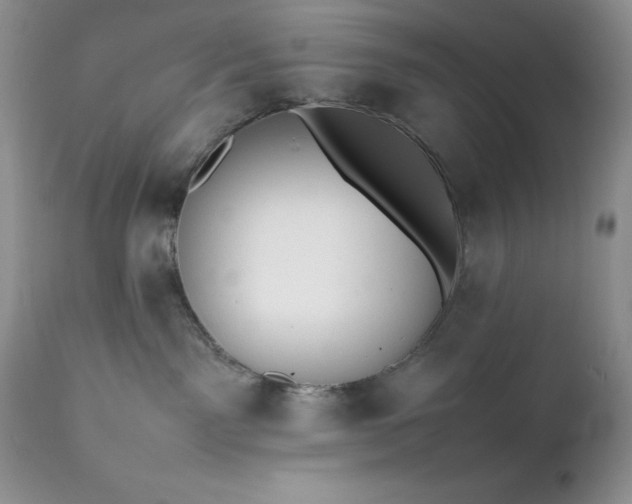 X0000111780141200907301131