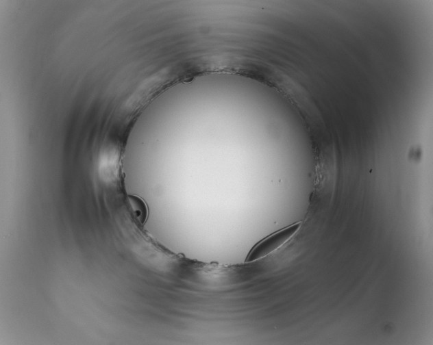 X0000111780142200907301131