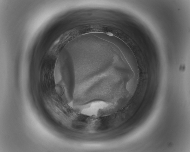 X0000111780143200907301131