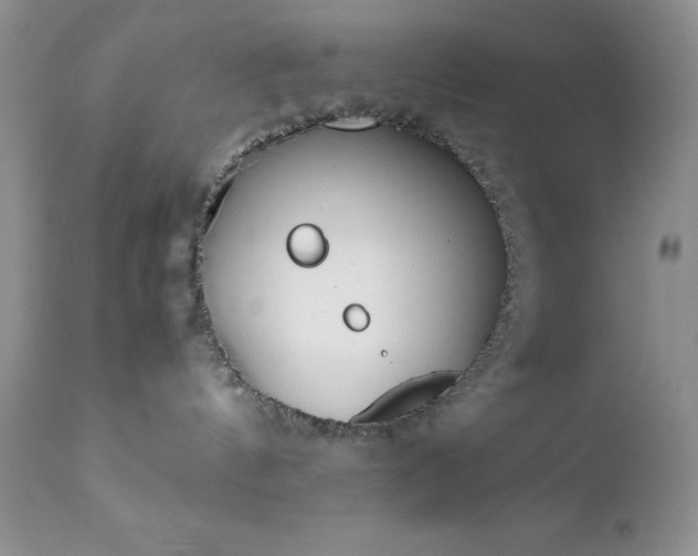 X0000111780144200907301131