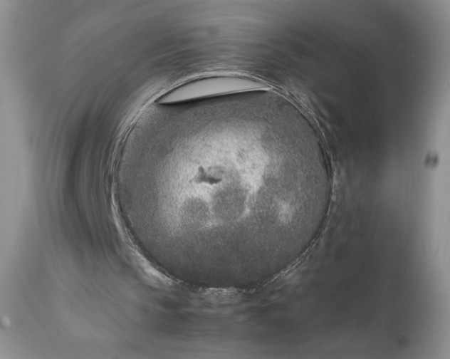 X0000111780145200907301130