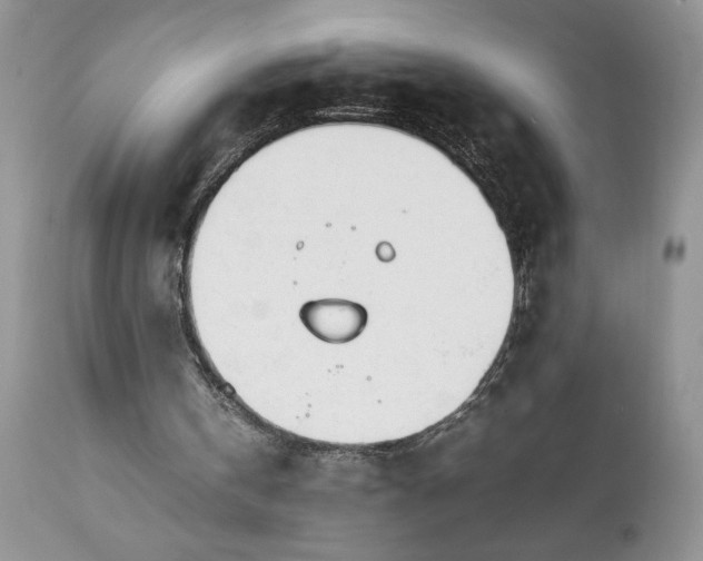 X0000111780146200907301130
