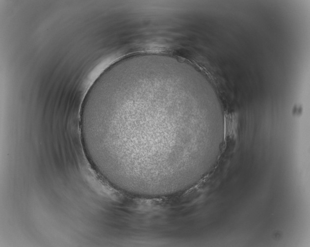 X0000111780147200907301130