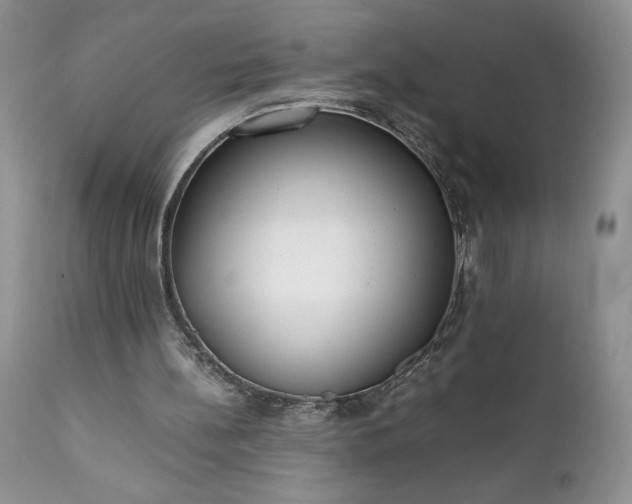 X0000111780148200907301130