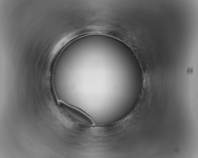 X0000111780150200907301130