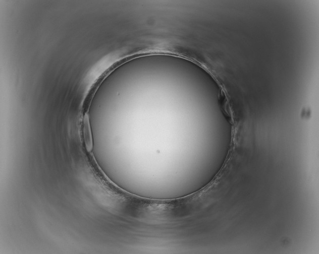 X0000111780152200907301130