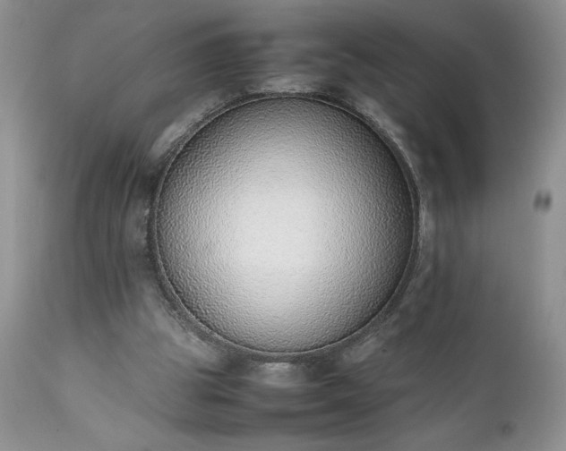 X0000111780153200907301130