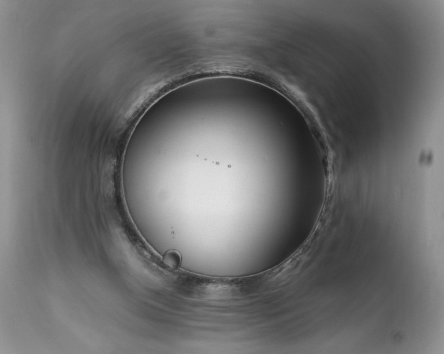 X0000111780154200907301130