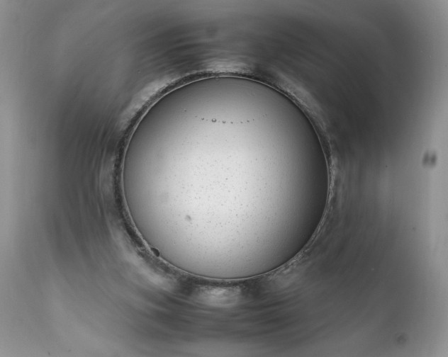 X0000111780155200907301130