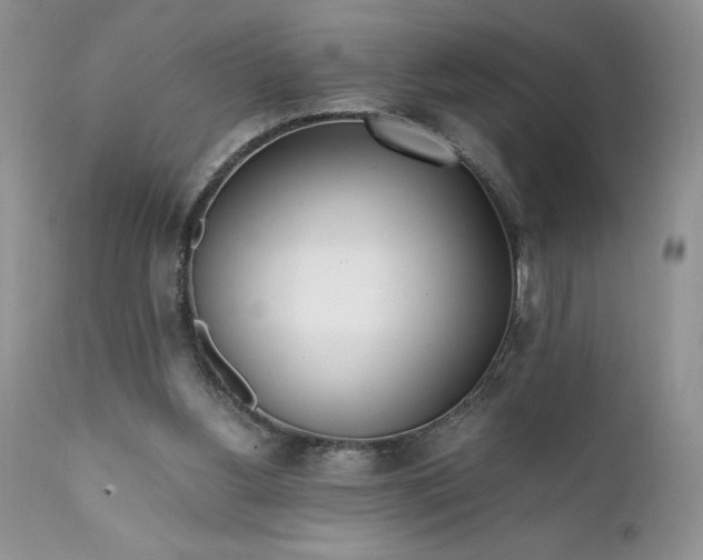 X0000111780156200907301130