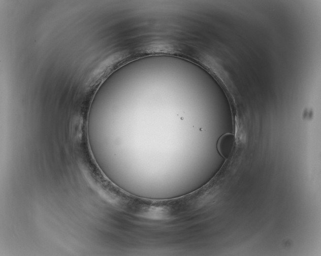 X0000111780157200907301130
