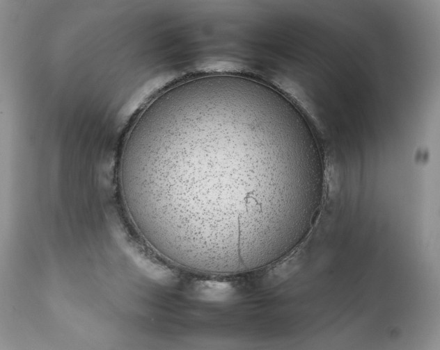 X0000111780159200907301130