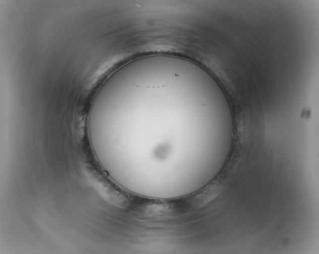 X0000111780160200907301130