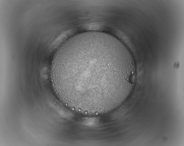 X0000111780161200907301130