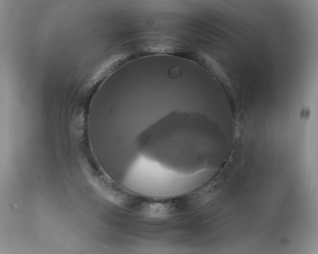 X0000111780163200907301130