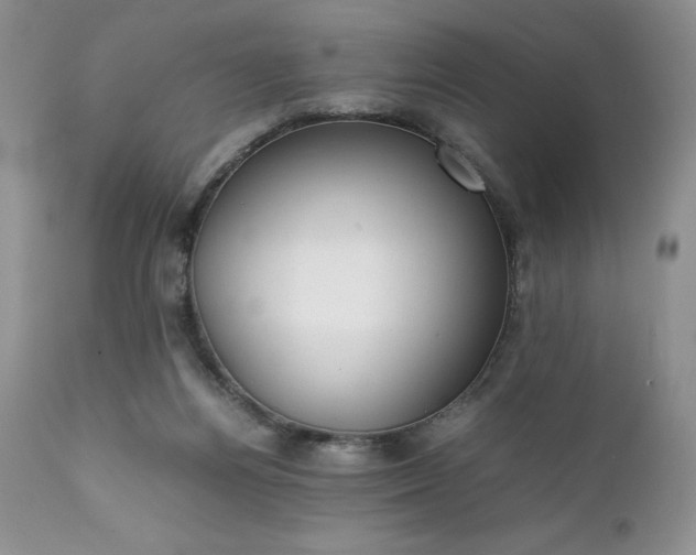 X0000111780164200907301130