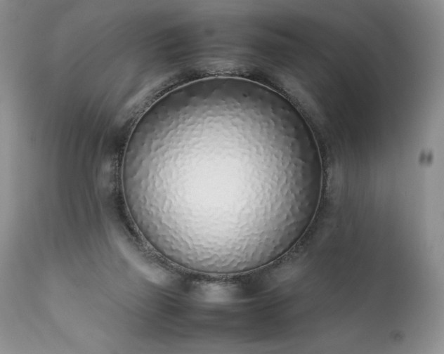 X0000111780165200907301130