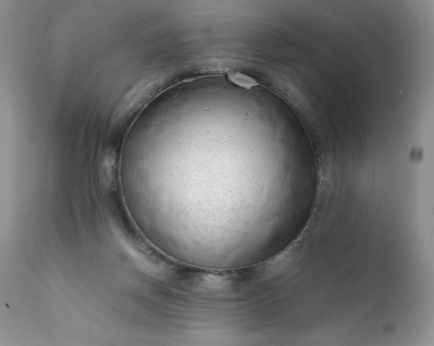 X0000111780166200907301130