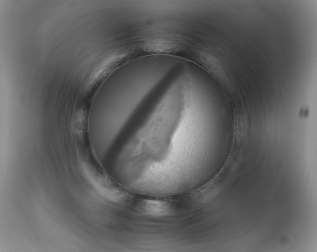 X0000111780167200907301130