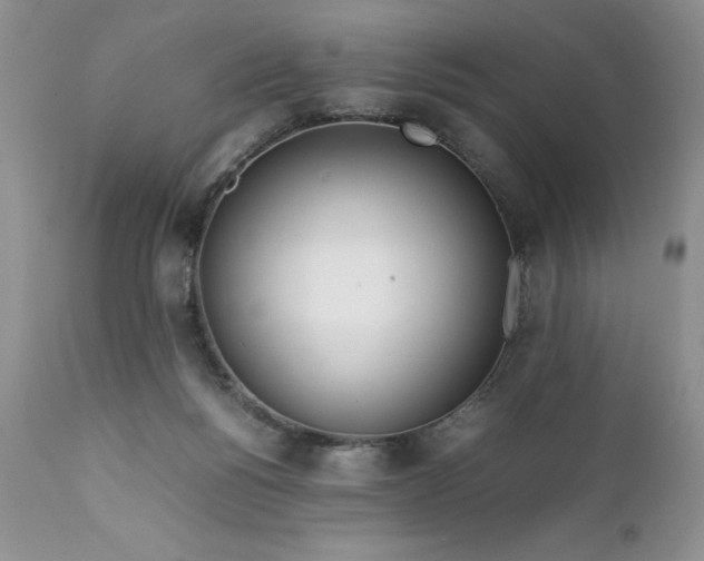 X0000111780168200907301130