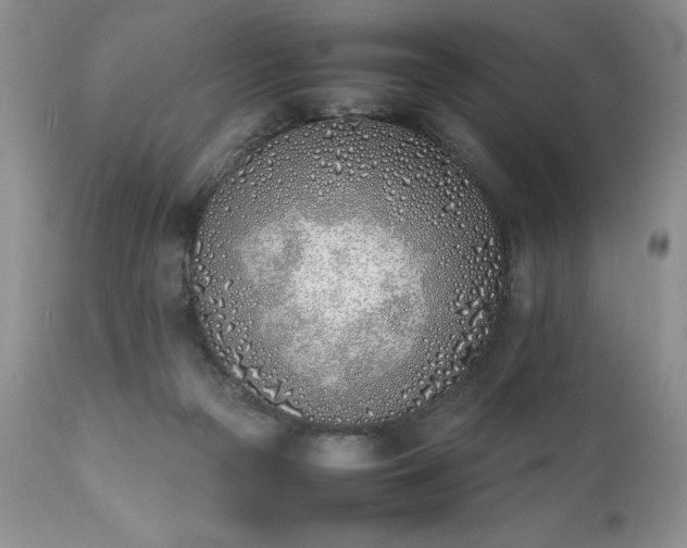 X0000111780169200907301130
