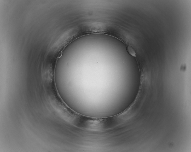 X0000111780170200907301130