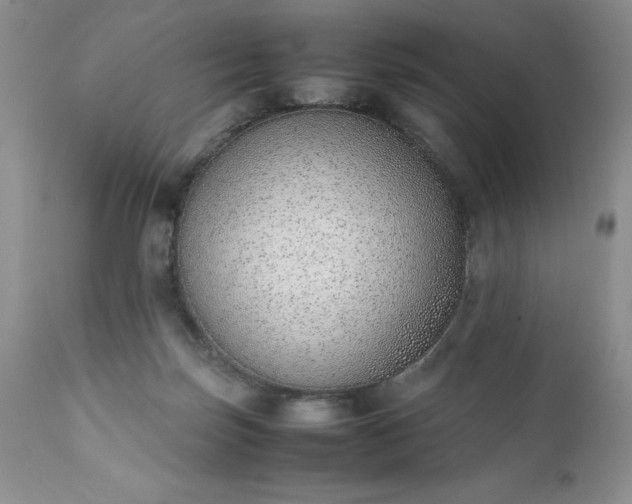 X0000111780171200907301130