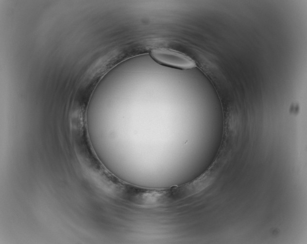 X0000111780172200907301130
