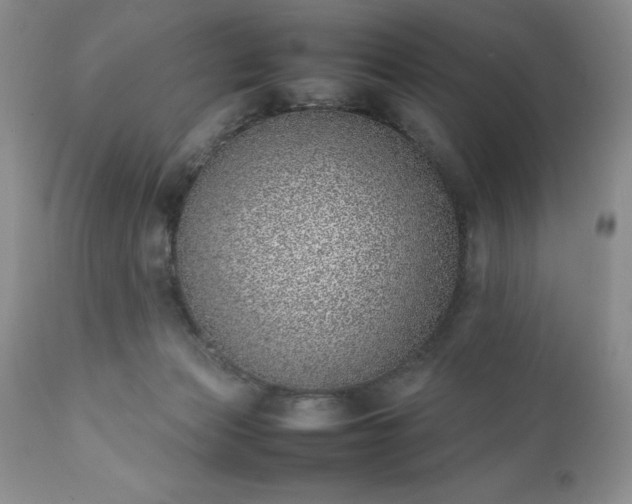 X0000111780173200907301130
