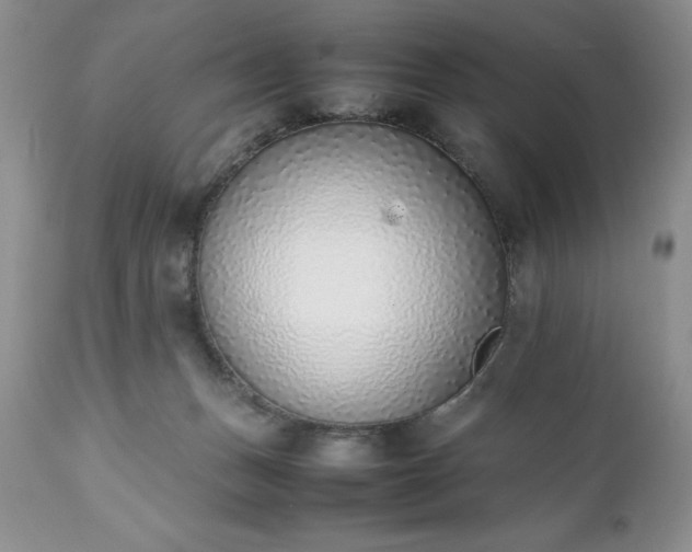 X0000111780175200907301130