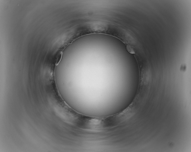 X0000111780176200907301130
