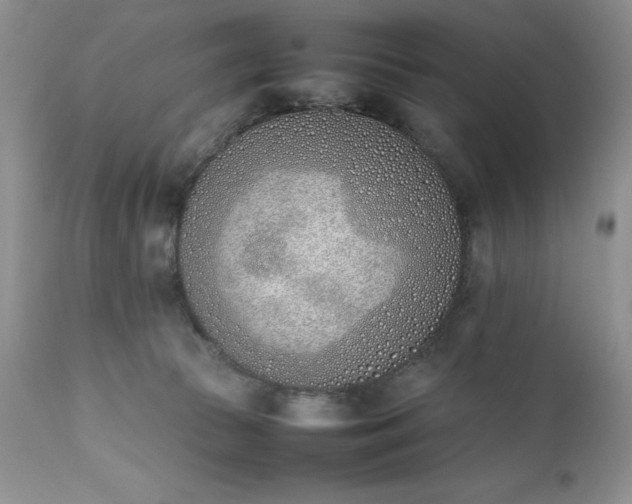 X0000111780177200907301130