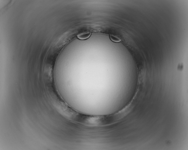 X0000111780178200907301130
