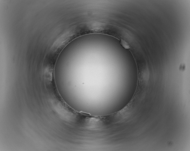 X0000111780180200907301130