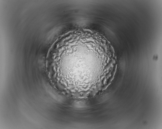 X0000111780181200907301130