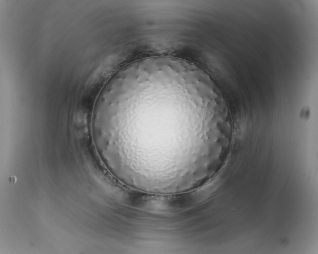 X0000111780182200907301130