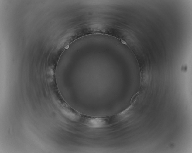 X0000111780183200907301130
