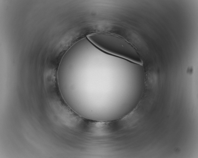 X0000111780184200907301130