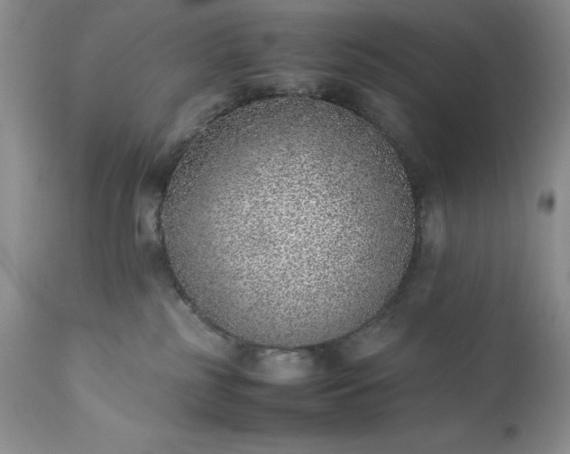 X0000111780185200907301130