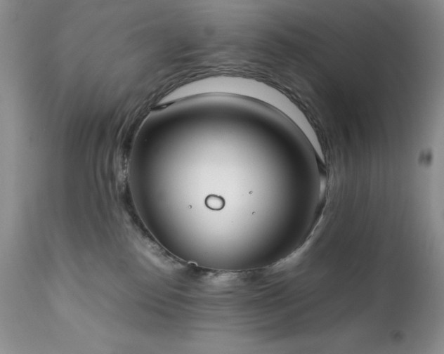 X0000111780186200907301130