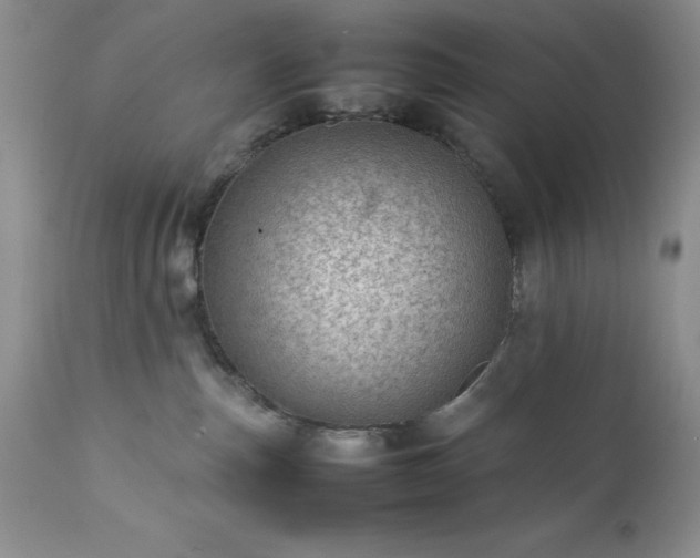 X0000111780187200907301130